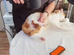 -喵汪宠物生活馆(涞坊路店)