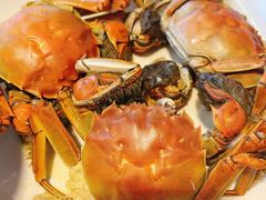 -倍儿美海鲜排挡·非遗海鲜蒸饺(洋货店)