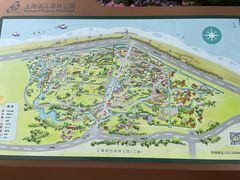 -上海滨江森林公园