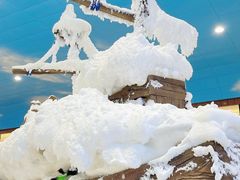 -世界之窗阿尔卑斯冰雪世界