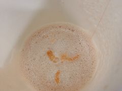 -星巴克(深圳龙岗广百店)