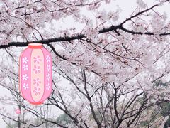 -新江湾城公园