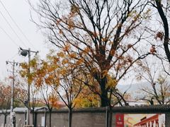 -香山公园