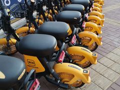 -万达广场(泰安泰山店)