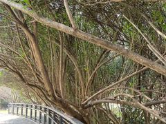 -苏州河梦清园环保主题公园