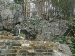 -荔城生鲜盛宴(番禺旗舰店)