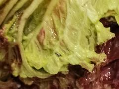 -小土豆北方菜馆(方庄店)