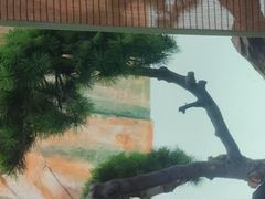 -绿茶餐厅(天通苑华联店)