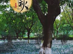 -沙河三洞古桥公园