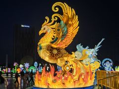 -海合安武汉极地海洋公园