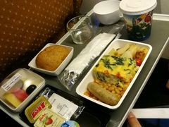 -新加坡航空公司(ION)