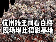 -钱王祠