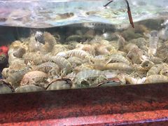 -皮记海鲜1995(寮步店)