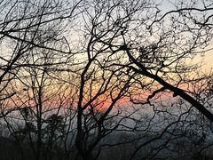-灵顺寺