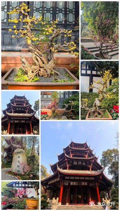 成都杜甫草堂博物馆图片