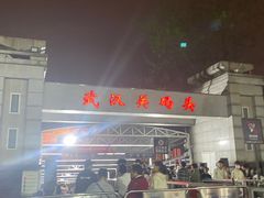 -武汉关码头(轮渡站)