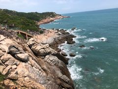 -广东惠东海龟国家级自然保护区