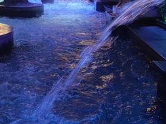 -九号温泉生活馆