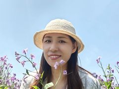 -荷兰花海
