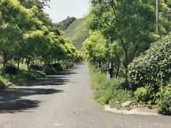 -帐篷客·溪龙茶谷度假酒店