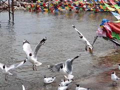 -青海湖国家重点风景名胜区