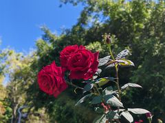 -人民公园(罗湖区)