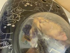 -瑞派·关忠动物医院·猫专科·犬专科(三环新城店)