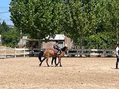 -北京群众马术培训基地