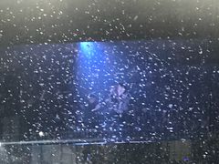 -宝能国际体育演艺中心