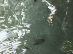 -三亚珠江南田温泉度假区