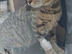 -拜鲁耶动物诊疗中心·宠家动物医院