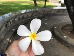 -宁曼路