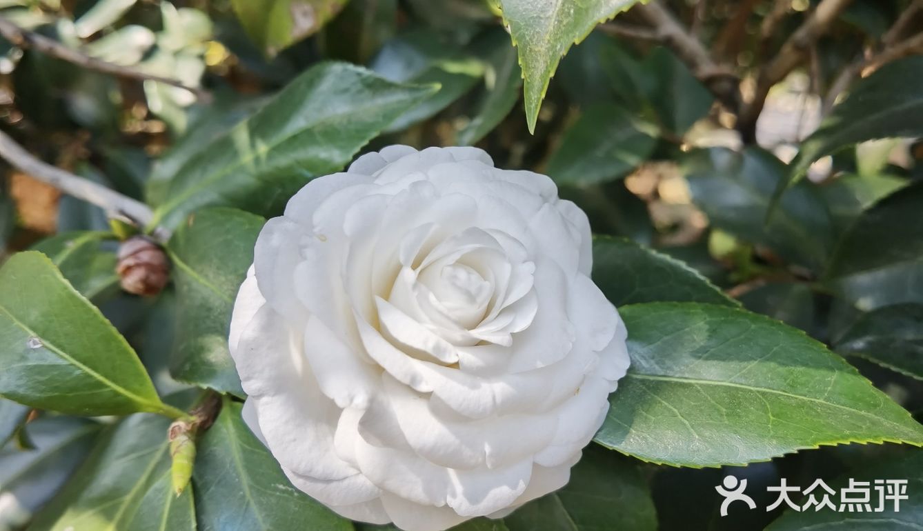 御花園位置就在正門入口右手邊