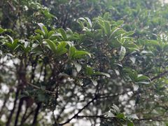 -狼山风景名胜区