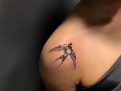 -刺客纹画纹身·洗纹身·穿孔饰品