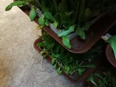 -宣威山野人家·云南菜·菌火锅(金碧店)