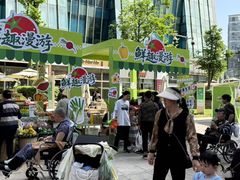 -城西优品道广场