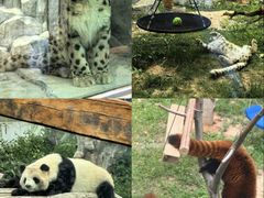 -青藏高原野生动物园