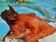 -石岐乳鸽村(南海第三分店)