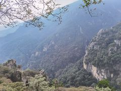 -牛背梁国家森林公园
