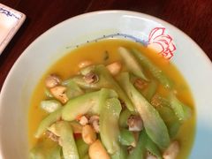 -四季春