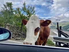 -硗碛藏寨·神木垒景区