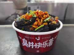 黑色经典臭豆腐-黑色经典臭豆腐·湖南特产(坡子街店)
