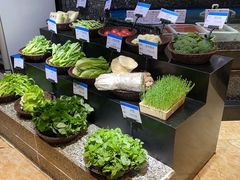 -宝燕壹号(徐汇店)