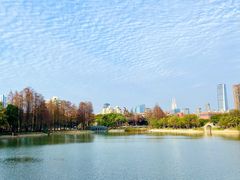 -四海公园(南山区)