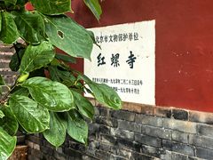 -丽泽山庄·生态怀柔菜·虹鳟鱼(红螺寺店)