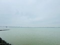 -大湾区中央湿地公园