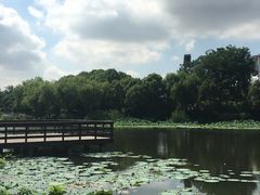 -新江湾城公园