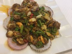 蒜蓉粉丝蒸扇贝-双井轩(双井店)