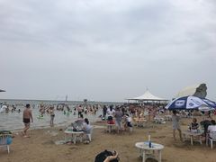 -碧海金沙